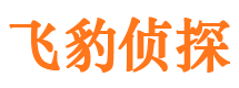 于都市私家侦探